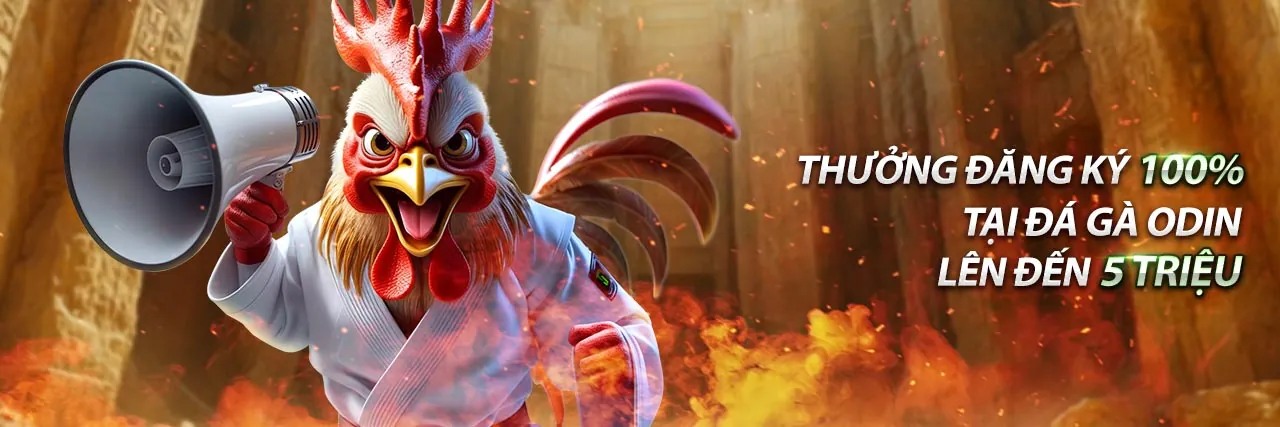 Đá gà trực tuyến đỉnh cao trên ứng dụng God55